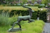 Gazelle Superbe Champion Mondial photo Gazelle Superbe Champion Mondial photo