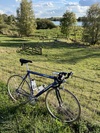 Gazelle Superbe Reynolds 853 photo