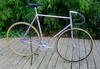 Gazelle Pista photo