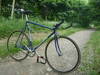 Gazelle TT photo
