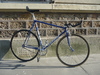 Gazelle TT photo