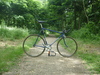 Gazelle TT photo