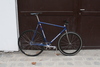 Gazelle TT photo