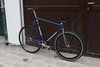 Gazelle TT photo