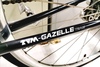 Gazelle TVM Team 1993 photo