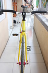 Fixed Gear Yellow photo