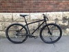 Genesis Fortitude 29er photo