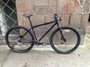 Genesis Fortitude 29er photo