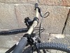 Genesis Fortitude 29er photo