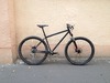 Genesis Fortitude 29er photo