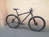 Genesis Fortitude 29er photo