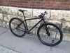 Genesis Fortitude 29er photo