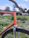 Gianni Motta pista photo