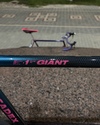 Giant cadex cfr1 (color cfr2) photo Giant cadex cfr1 (color cfr2) photo