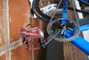 Giant Omnium '11 photo