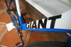 Giant Omnium '11 photo