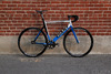 Giant Omnium photo