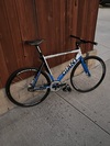 Giant Omnium photo
