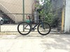 Giant omnium (custom paint) photo