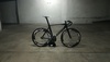 Giant Omnium size ML photo