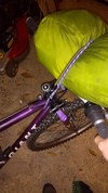 Giant pub bike photo