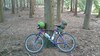 Giant pub bike photo