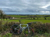 Giant TCR photo