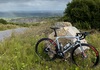 Giant TCR photo