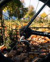 Giant Tcr Advanced photo