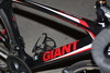 Giant Tcr Composite 2 photo