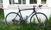 Giant TCR composite 2.0 photo