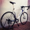 Giant TCR Composite photo