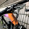 Giant TCR (Custom Build Crit Bike) photo