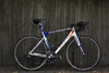 Giant TCR Rabobank Edition photo