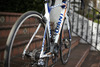 Giant TCR Rabobank Edition photo