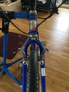 Gios Evolution MTB Project photo