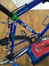 Gios Evolution MTB Project photo