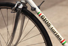 Fake Gios Torino photo