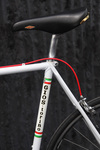 Fake Gios Torino photo