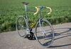 Gitane bebe fixie conversion photo