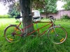 Gitane Tandem '69 photo