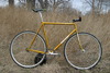 Gold Mercier Kilo TT photo