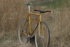 Gold Mercier Kilo TT photo