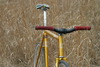 Gold Mercier Kilo TT photo