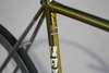 Gold Razesa Pista photo