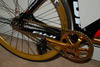 Golden Fuji Track Pro photo