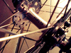 Golden Nippon Fixed Gear photo