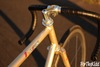 Gold/Rainbow Flake Samson NJS photo