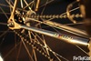 Gold/Rainbow Flake Samson NJS photo