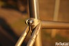 Gold/Rainbow Flake Samson NJS photo